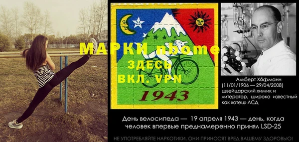 сатива Балахна