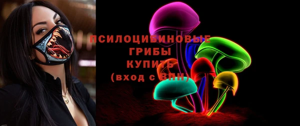 сатива Балахна