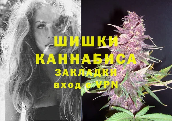 сатива Балахна