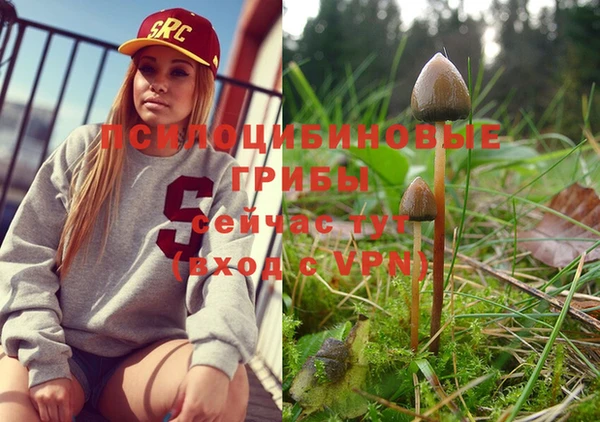 бошки Семикаракорск
