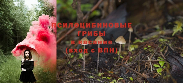бошки Семикаракорск