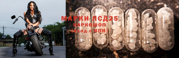 сатива Балахна