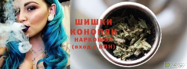 сатива Балахна